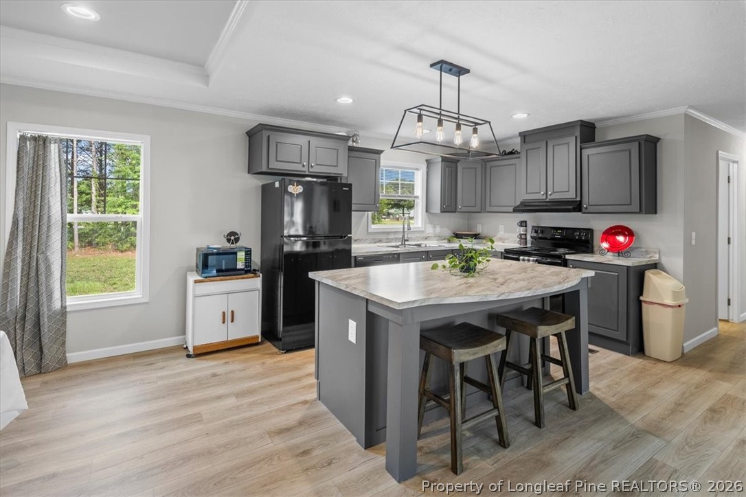 626 Ballance Farm Road St. Pauls, NC 28384 - Photo 12 of 27 Kitchen with large island