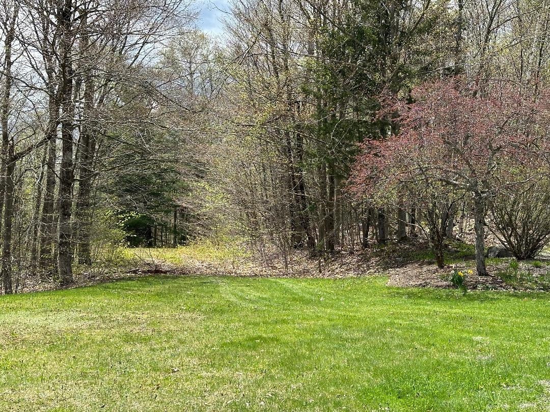 0 Robinson Springs Road, Unit 71 Stowe, VT 05672 - Photo 19 of 26