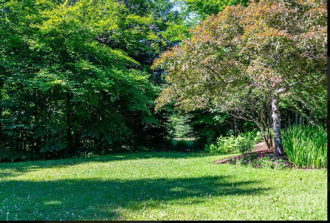 0 Robinson Springs Road, Unit 71 Stowe, VT 05672 - Photo 4 of 26