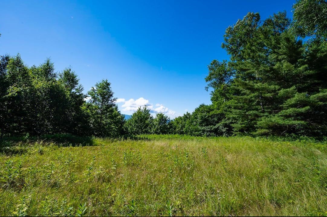 0 Robinson Springs Road, Unit 71 Stowe, VT 05672 - Photo 5 of 26