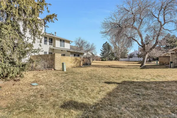 a view of a yard with a tree