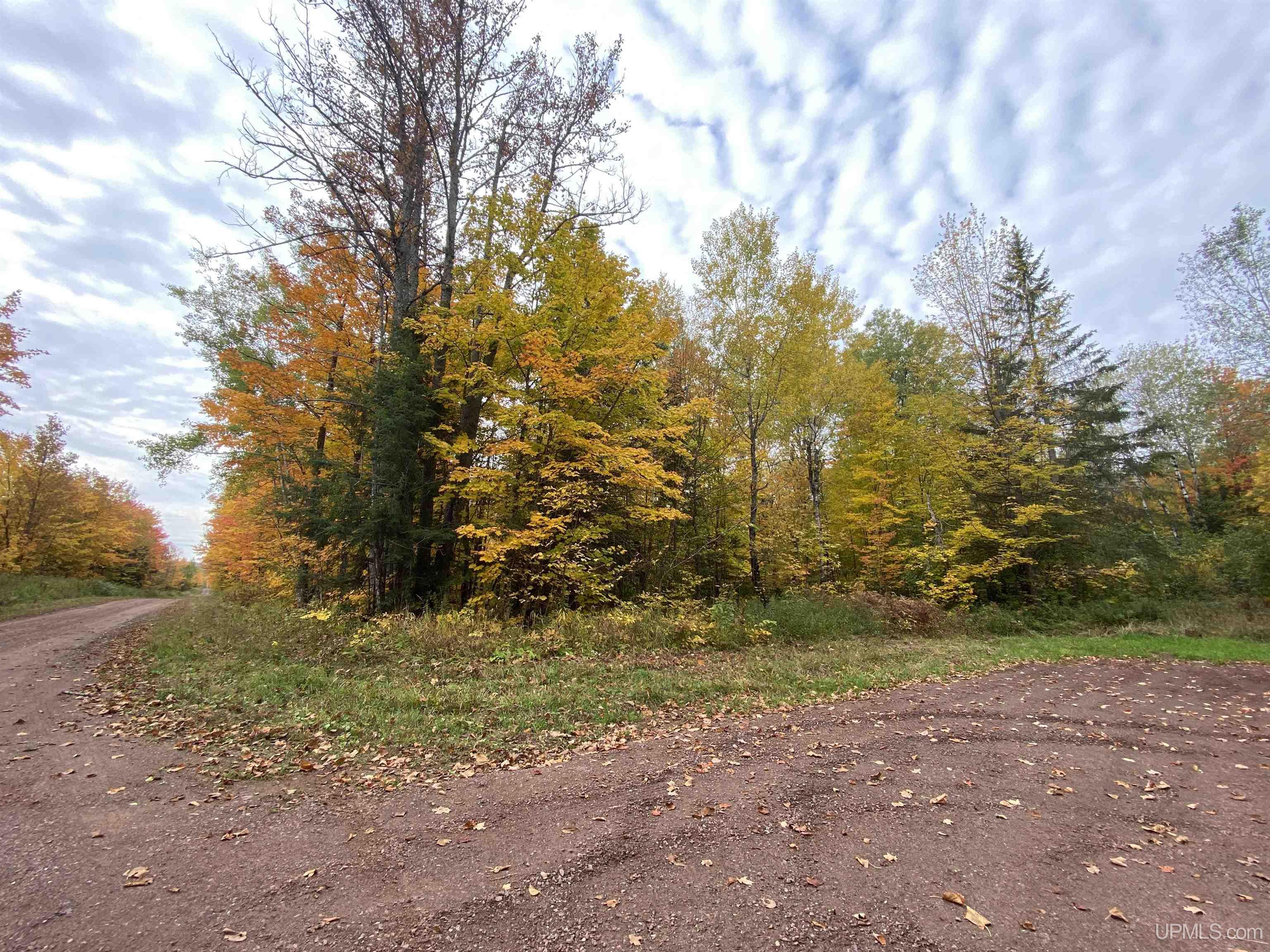 Tbd Tbd Heikkala Road Bessemer, MI 49911 - Photo 7 of 7