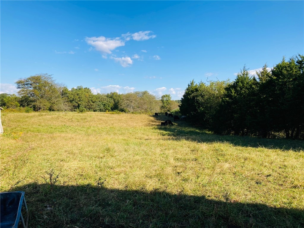 367 County Highway Xenia, IL 62899 - Photo 13 of 29