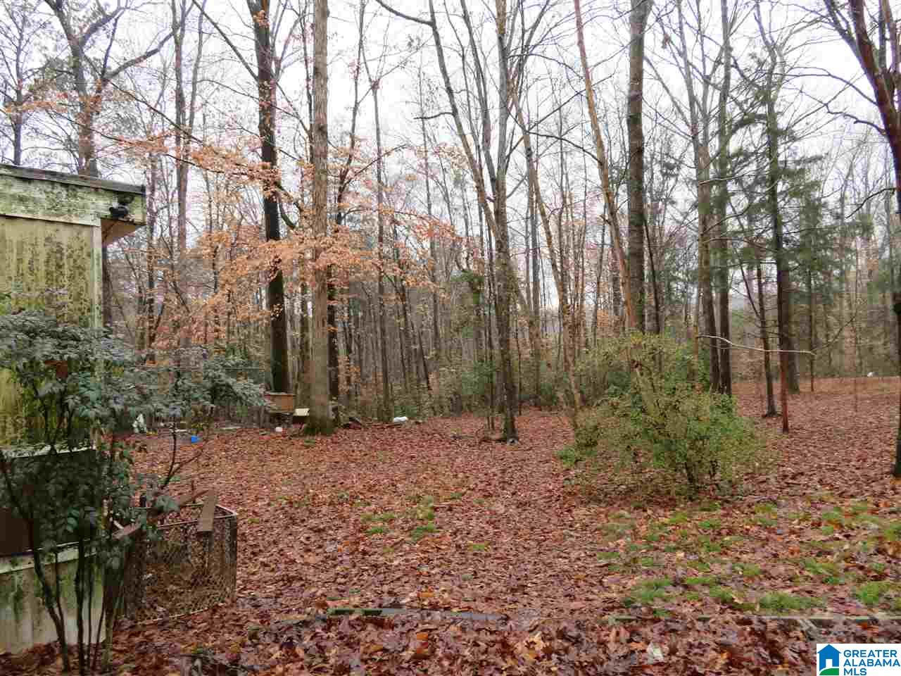 138 Cedar Grove Road West Blocton, AL 35184 - Photo 9 of 44