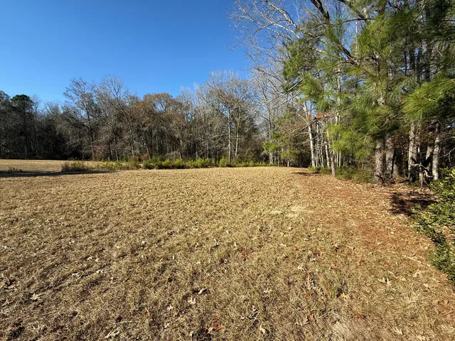 $100,000 | 0 Cameron Drive, Ridgeville, SC 29472