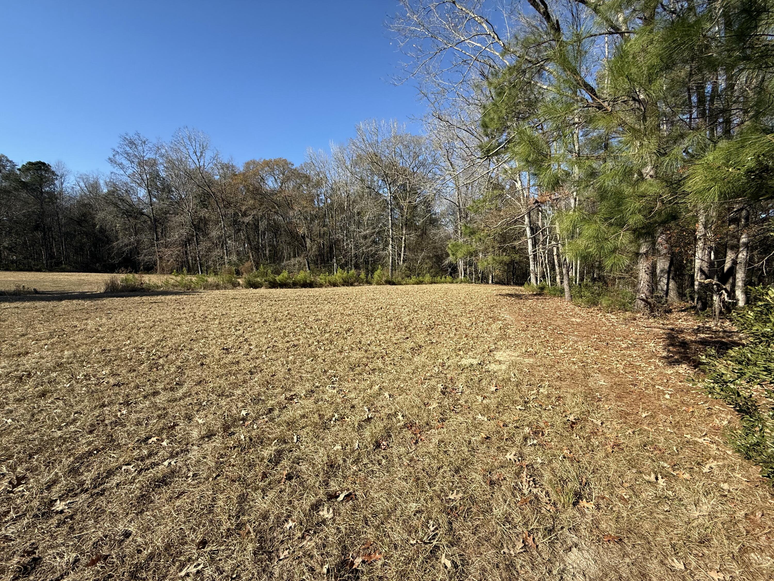 0 Cameron Drive Ridgeville, SC 29472 - Photo 1 of 13 IMG_1196