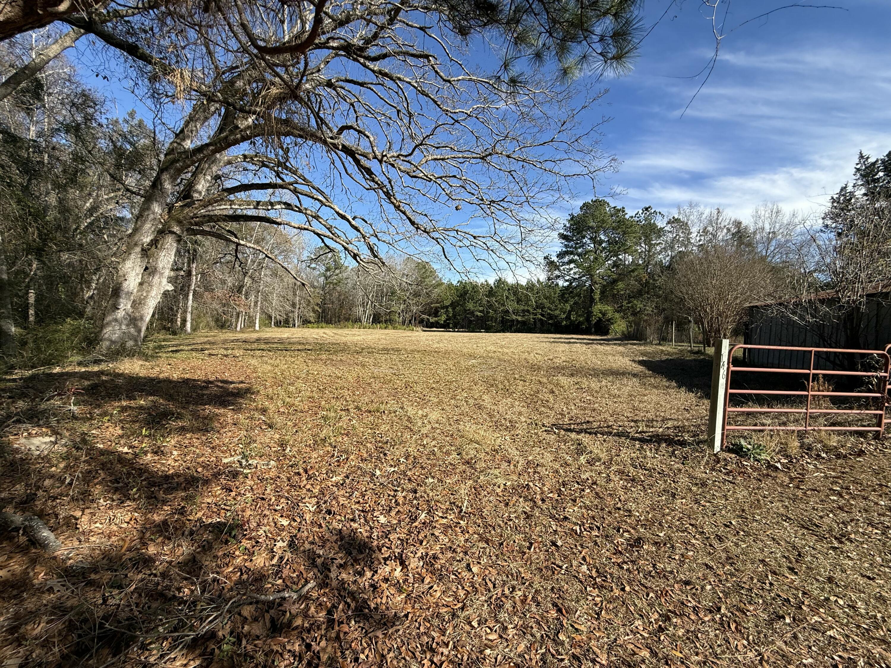 0 Cameron Drive Ridgeville, SC 29472 - Photo 2 of 13 IMG_1185