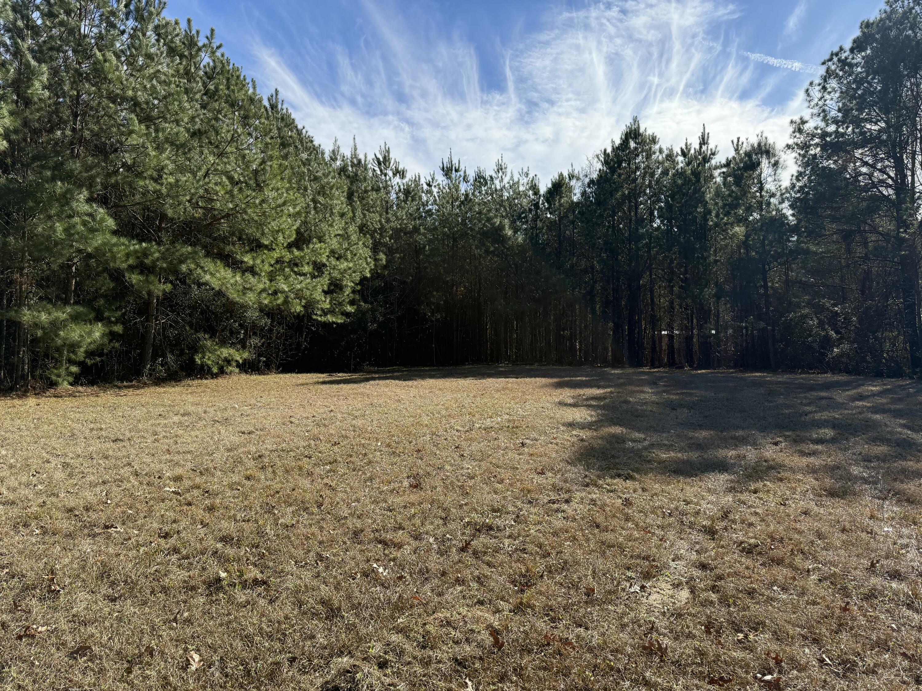 0 Cameron Drive Ridgeville, SC 29472 - Photo 4 of 13 IMG_1192