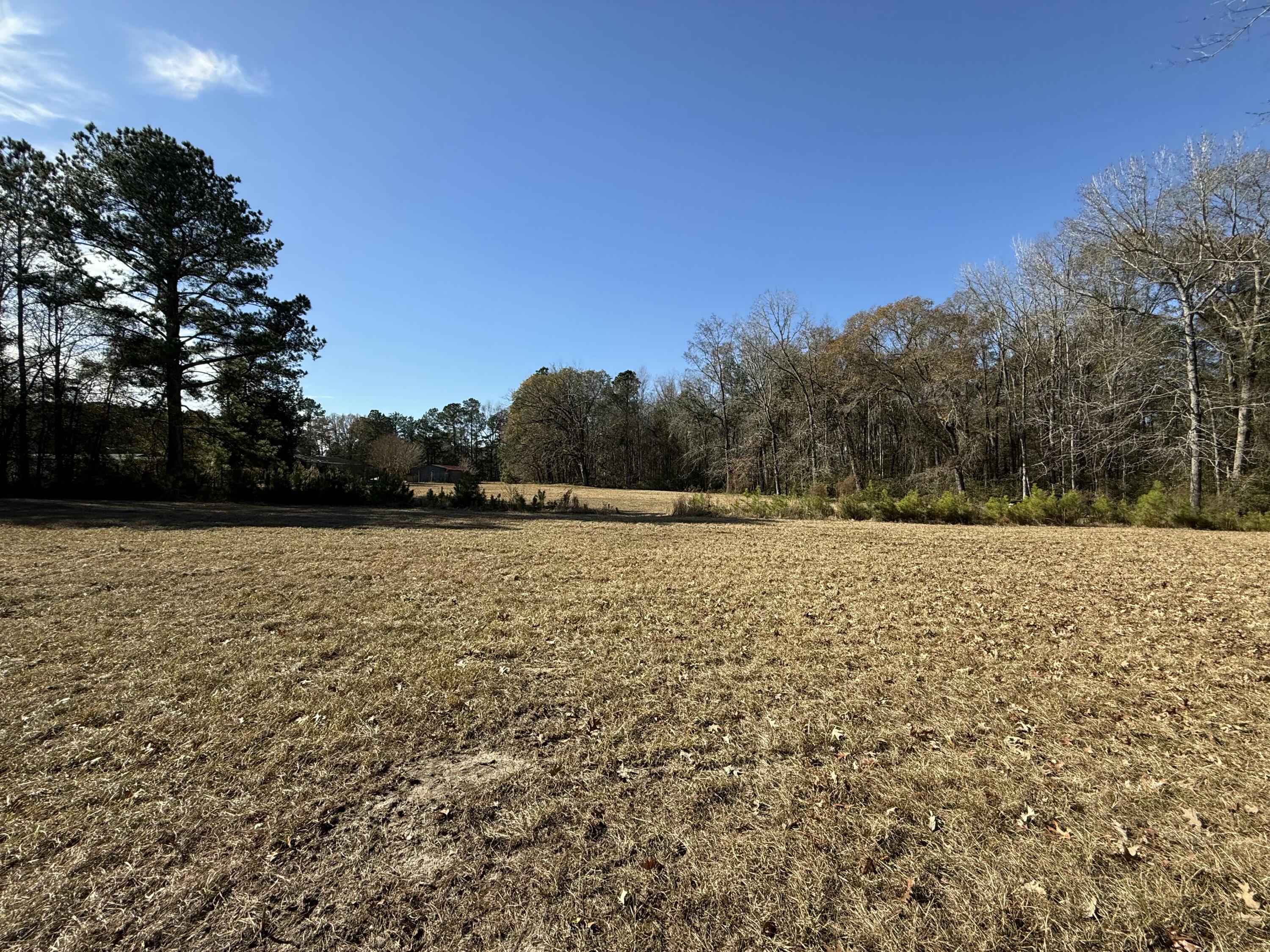 0 Cameron Drive Ridgeville, SC 29472 - Photo 5 of 13 IMG_1194