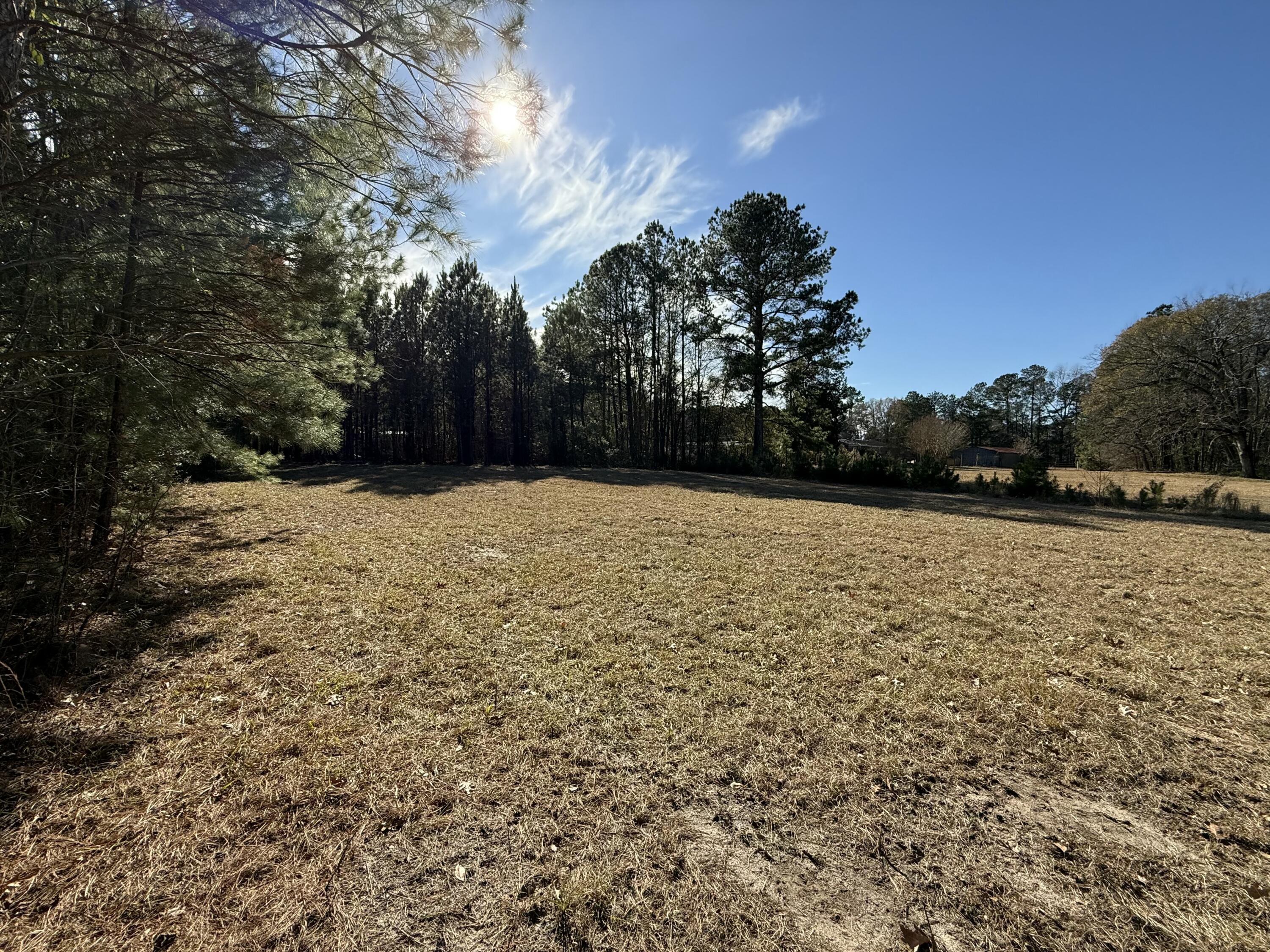 0 Cameron Drive Ridgeville, SC 29472 - Photo 7 of 13 IMG_1195