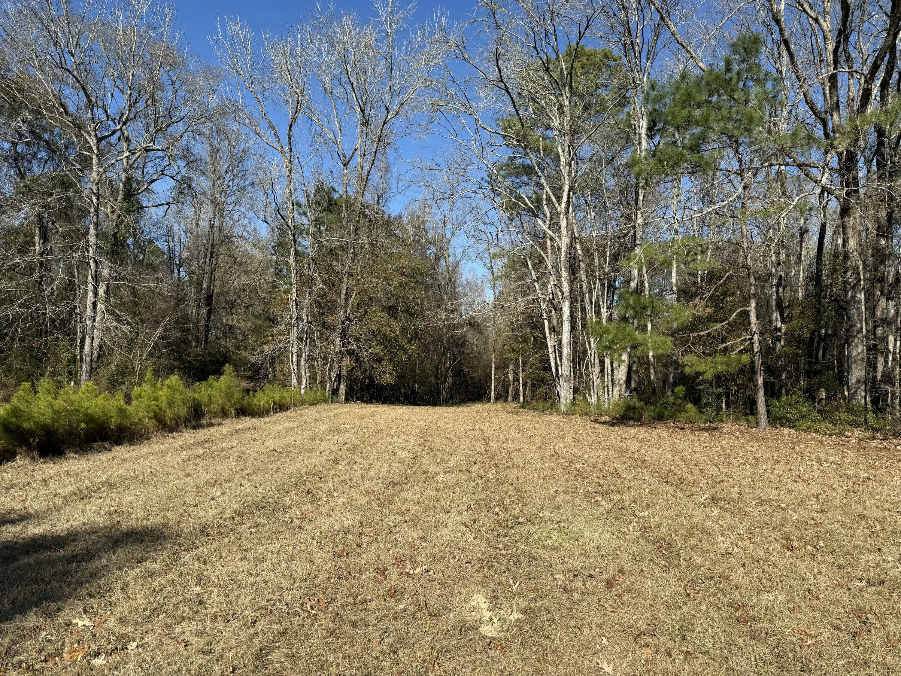 0 Cameron Drive Ridgeville, SC 29472 - Photo 9 of 13 IMG_1193