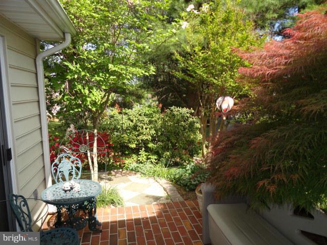 736 Ripplebrook Drive Culpeper, VA 22701 - Photo 3 of 17 Exterior (Rear)