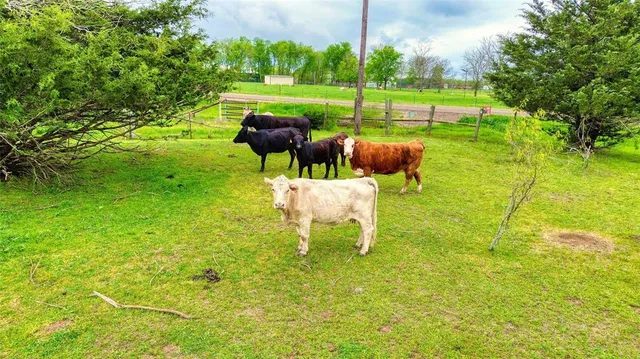 $220,000 | 5921 Farm To Market Road 636, Kerens, TX 75144