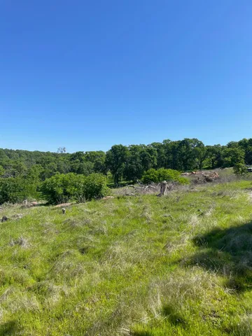 a view of an outdoor space and a yard