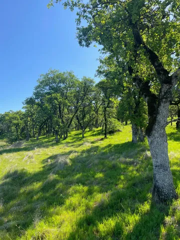 a view of swimming pool with a yard