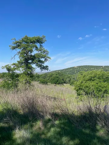 a view of a lake with a yard