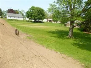 a view of a field with trees in the background