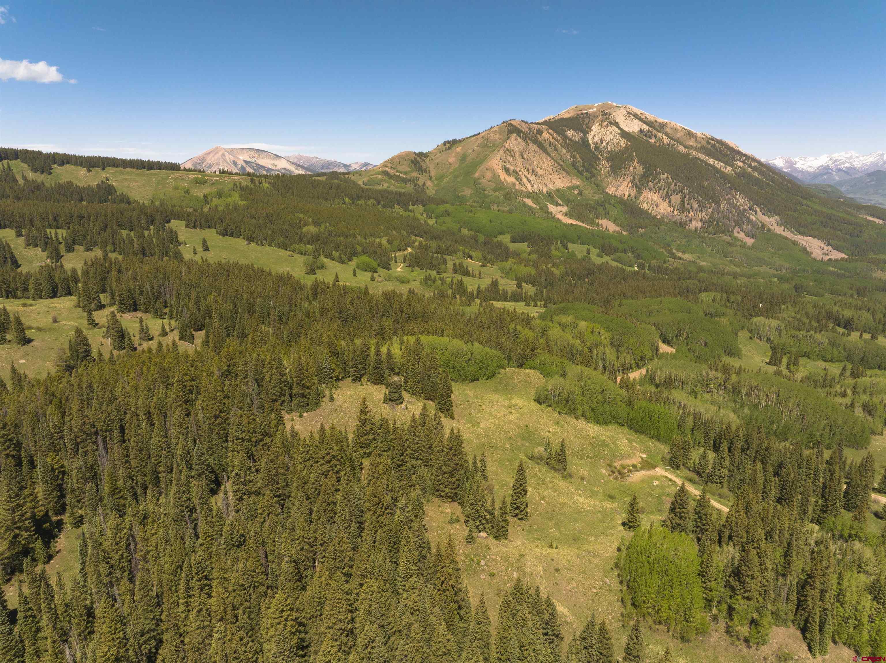 1371 Red Mountain Ranch Road Crested Butte, CO 81224 - Photo 19 of 41