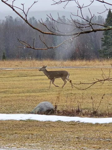 $449,999 | 99 Howe Road, Wade, ME 04786