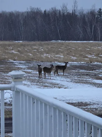 $449,999 | 99 Howe Road, Wade, ME 04786