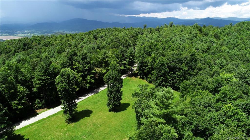 a view of a big yard with large trees