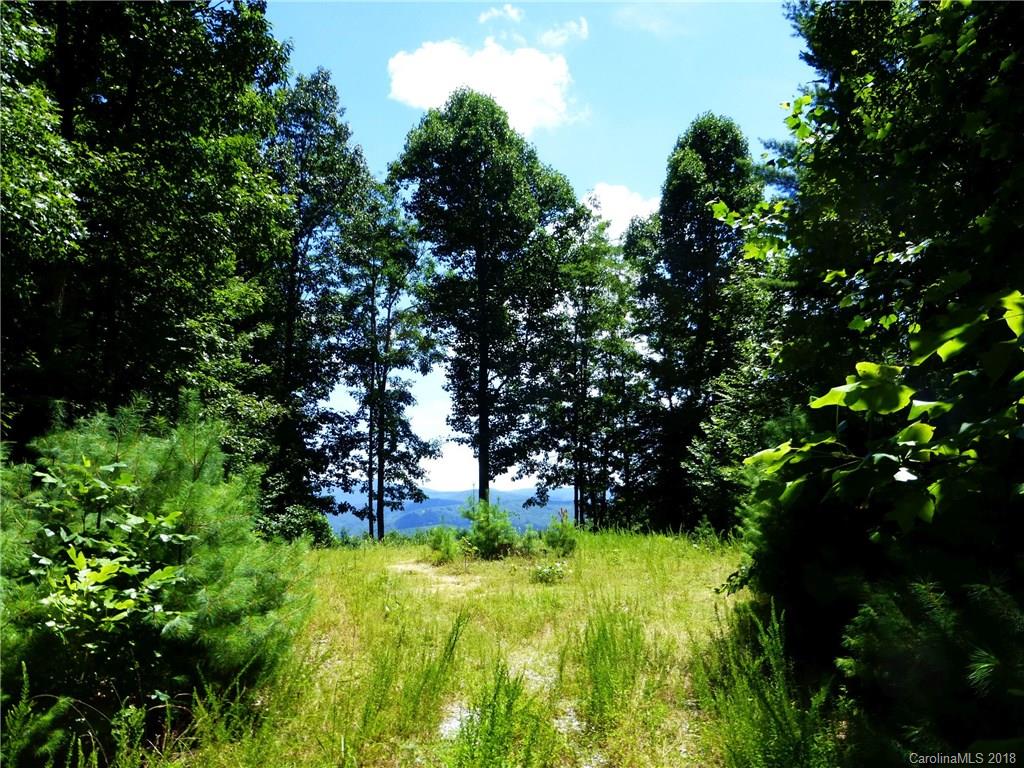 Lot 14 Reserve Road, Unit 14R Pisgah Forest, NC 28768 - Photo 2 of 26