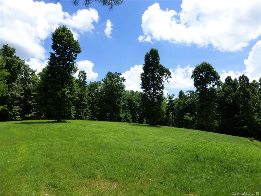 Lot 14 Reserve Road, Unit 14R Pisgah Forest, NC 28768 - Photo 12 of 26 a view of a grassy field with trees in the background