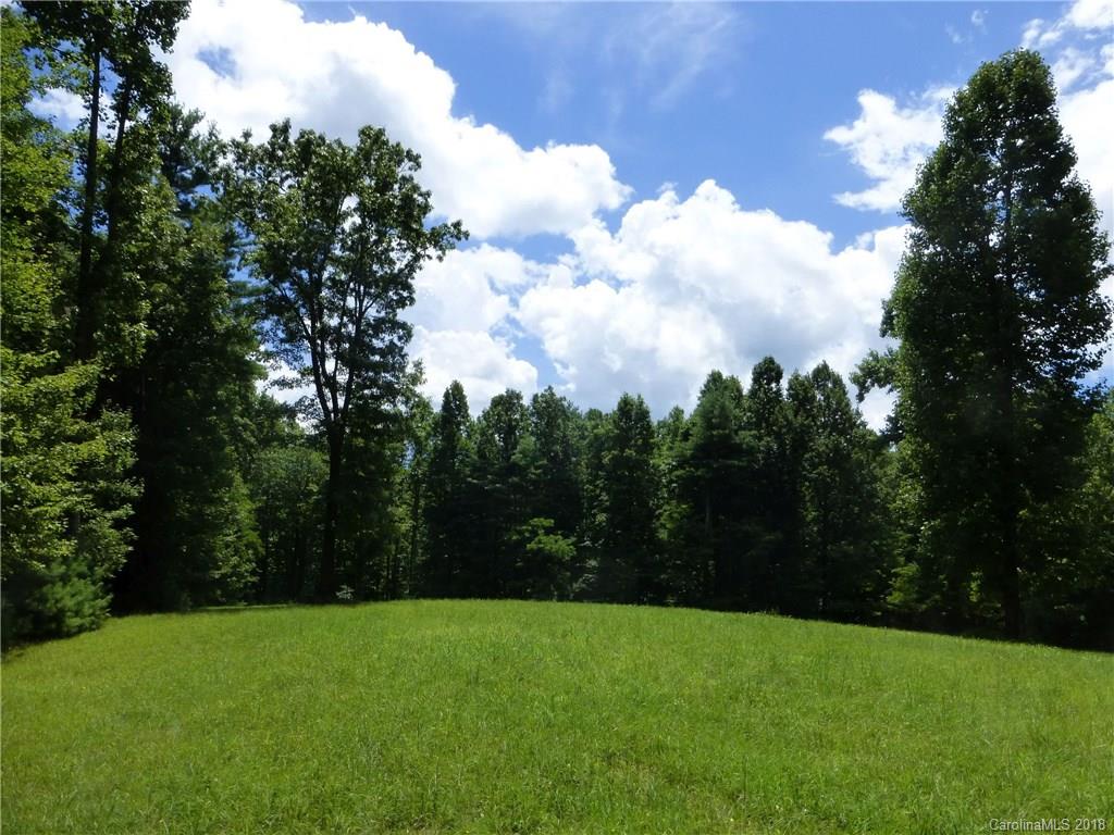 Lot 14 Reserve Road, Unit 14R Pisgah Forest, NC 28768 - Photo 15 of 26 a view of a green yard