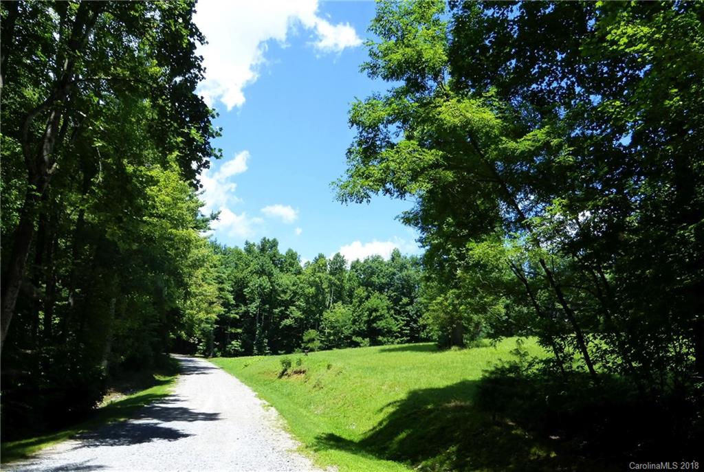 Lot 14 Reserve Road, Unit 14R Pisgah Forest, NC 28768 - Photo 17 of 26 a view of an outdoor space and a yard