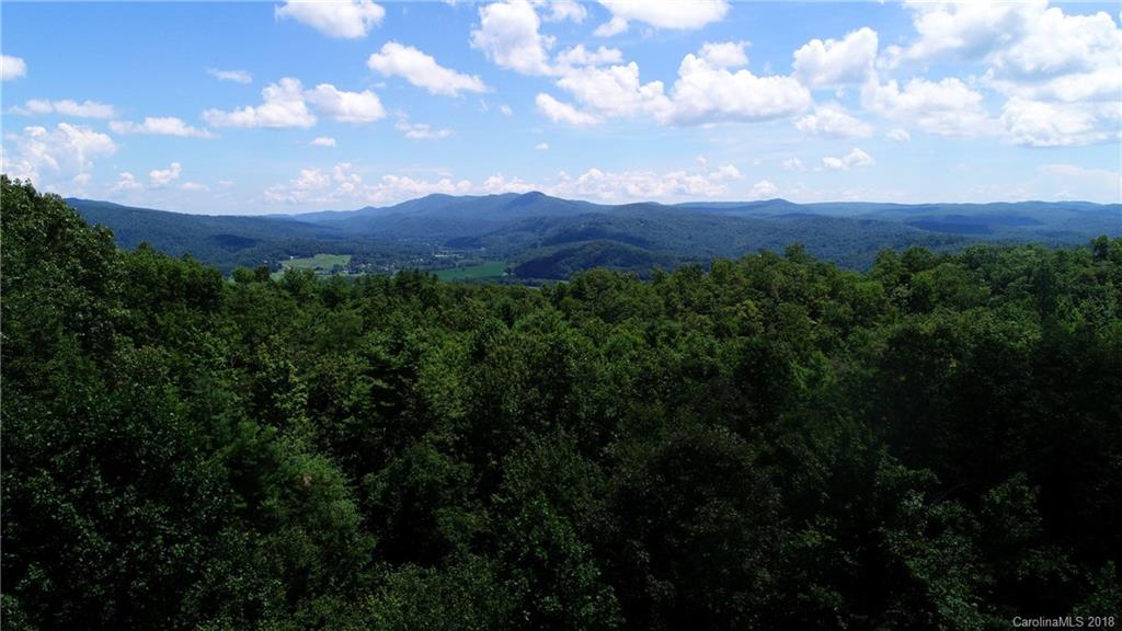 Lot 14 Reserve Road, Unit 14R Pisgah Forest, NC 28768 - Photo 18 of 26 a view of a city with lush green forest