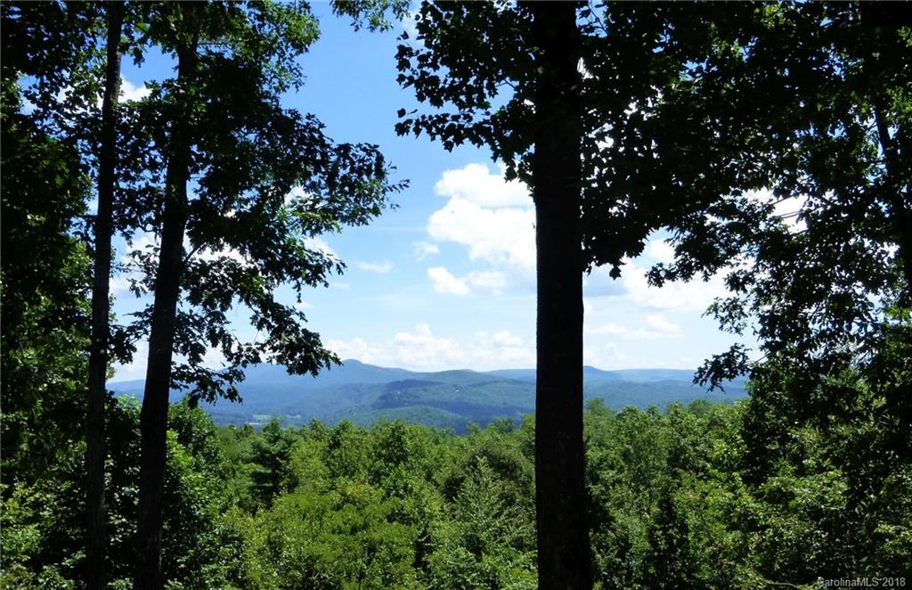 Lot 14 Reserve Road, Unit 14R Pisgah Forest, NC 28768 - Photo 19 of 26 a view of a tree with a tree in the background