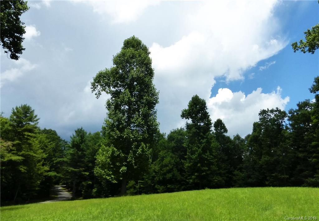 Lot 14 Reserve Road, Unit 14R Pisgah Forest, NC 28768 - Photo 21 of 26 a view of garden with outdoor space
