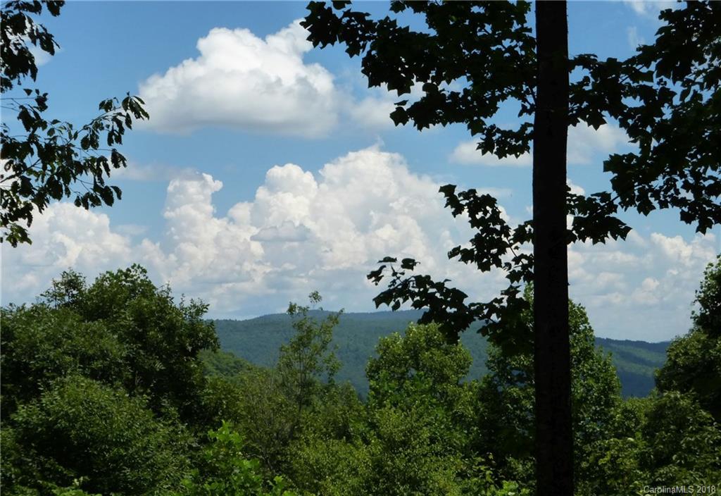 Lot 14 Reserve Road, Unit 14R Pisgah Forest, NC 28768 - Photo 22 of 26 a view of a flower in a yard