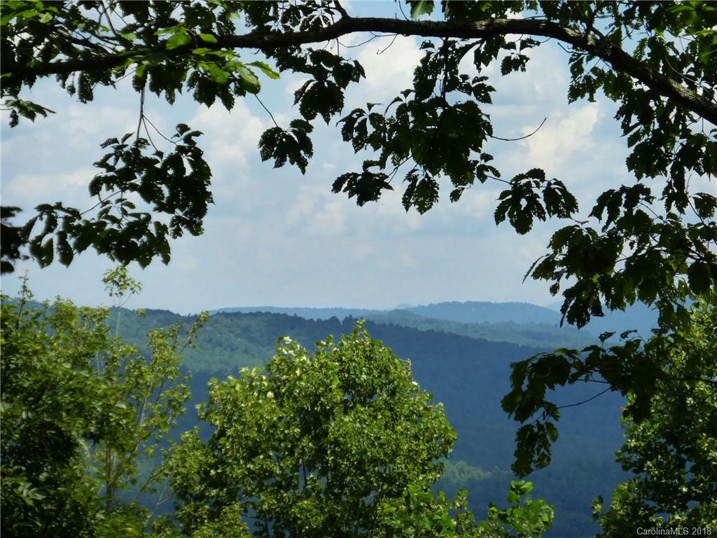 Lot 14 Reserve Road, Unit 14R Pisgah Forest, NC 28768 - Photo 23 of 26 a view of a garden