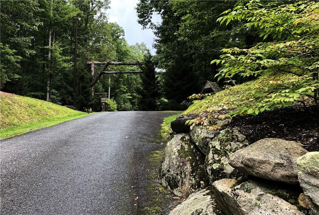 Lot 14 Reserve Road, Unit 14R Pisgah Forest, NC 28768 - Photo 24 of 26 a view of a park with plants and trees