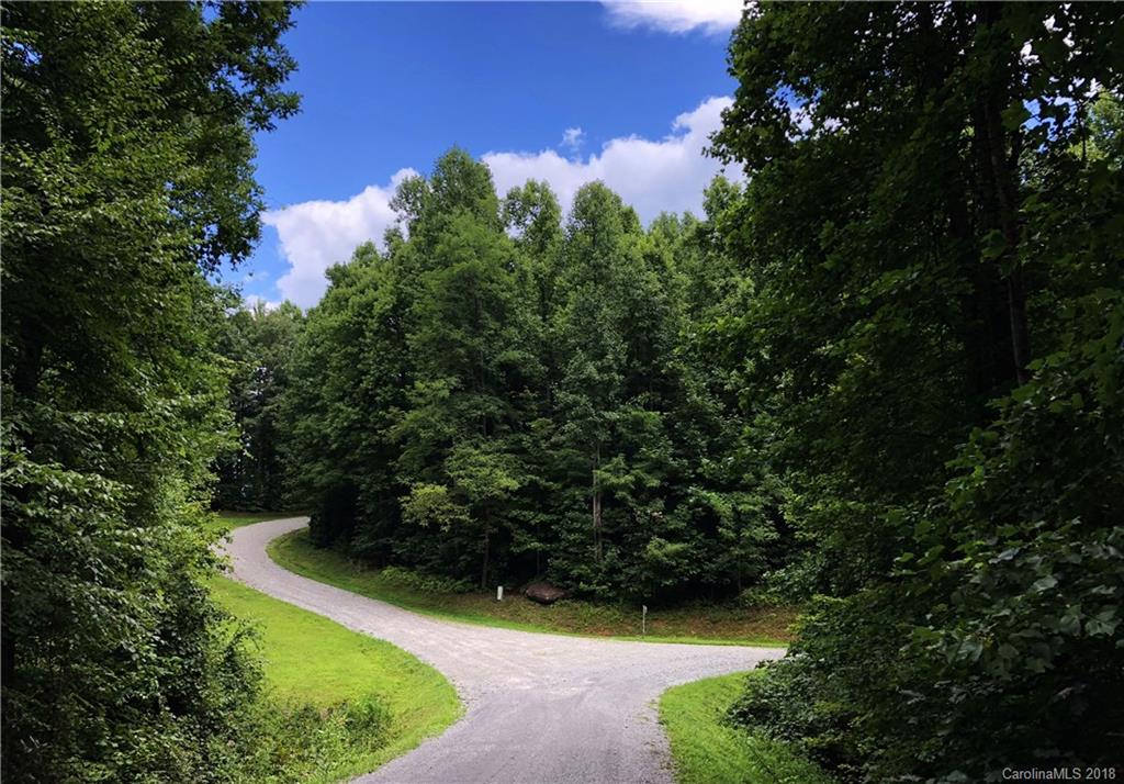 Lot 14 Reserve Road, Unit 14R Pisgah Forest, NC 28768 - Photo 26 of 26 a view of a garden