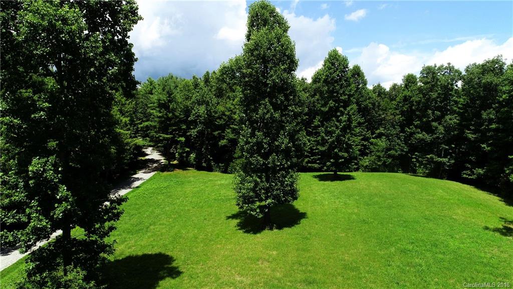 Lot 14 Reserve Road, Unit 14R Pisgah Forest, NC 28768 - Photo 8 of 26 a view of a garden with a fountain