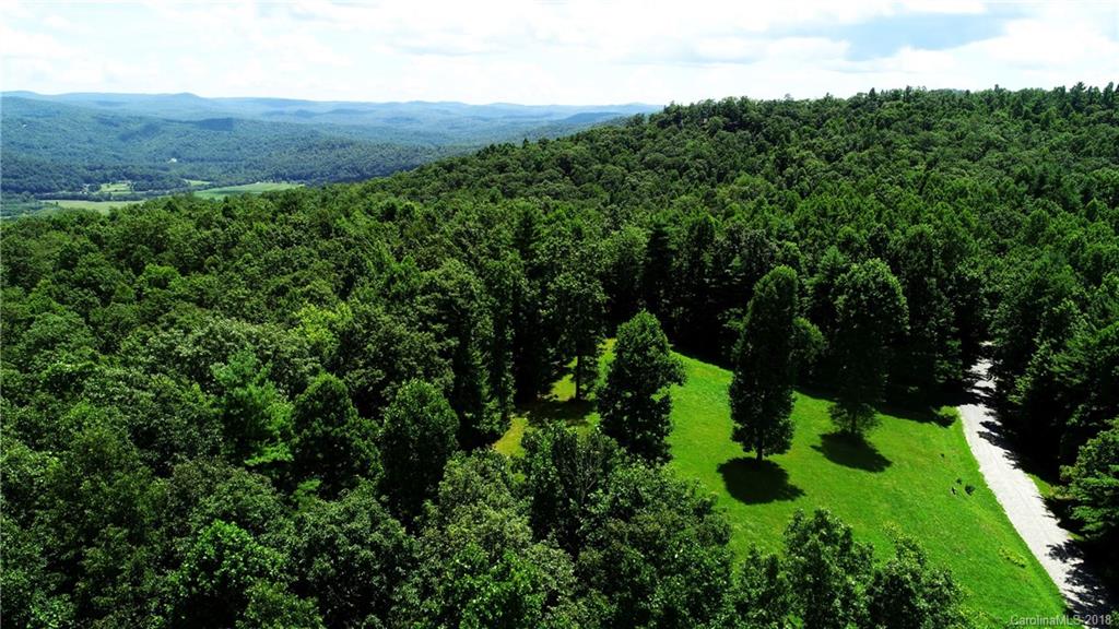 Lot 14 Reserve Road, Unit 14R Pisgah Forest, NC 28768 - Photo 10 of 26 a view of a lush green forest with lots of trees