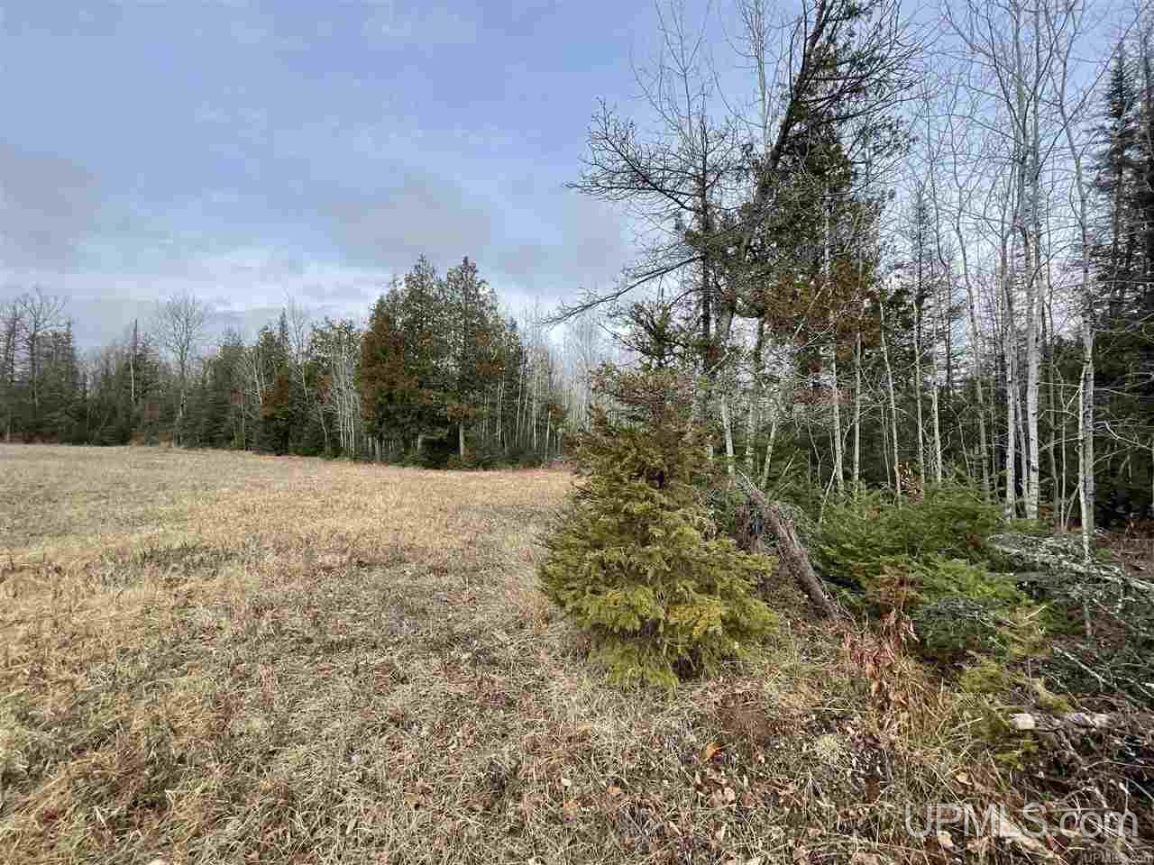 18024 Vega Road Powers, MI 49874 - Photo 9 of 15 Gallery Image 9