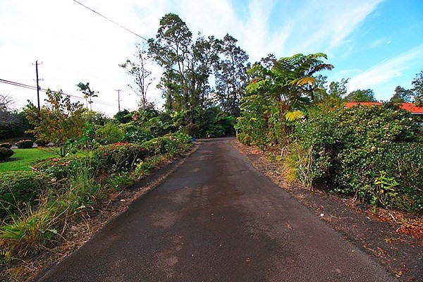 17-1048 Volcano Road Mountain View, HI 96771 - Photo 19 of 24 a view of a street with a trees