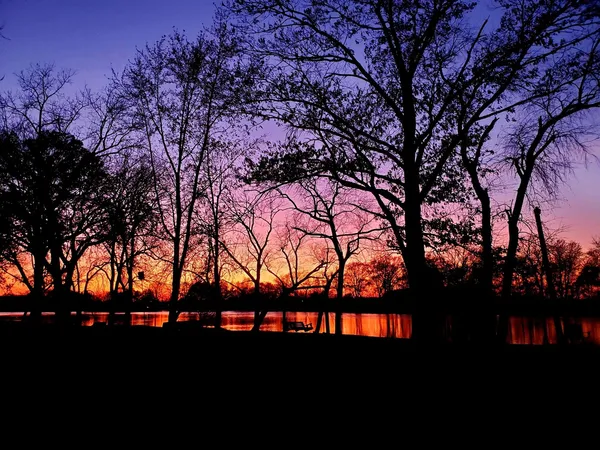 a huge green field with lots of trees