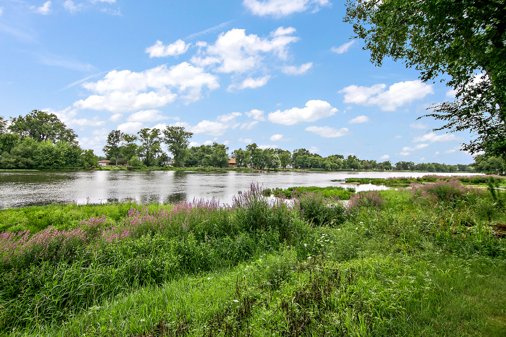 1698 Bittersweet Drive St. Anne, IL 60964 - Photo 40 of 47