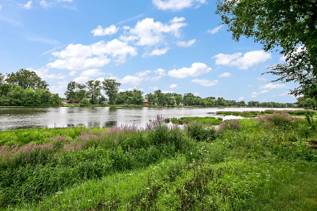 a view of outdoor space with green field and trees