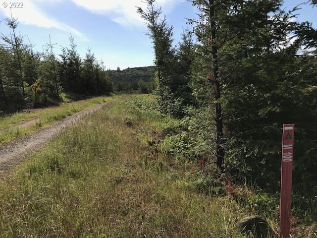 0 Old Military Road Dallas, OR 97338 - Photo 11 of 12