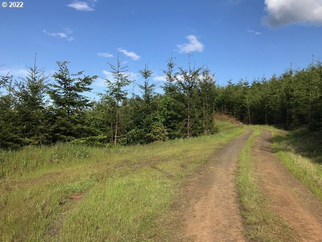 0 Old Military Road Dallas, OR 97338 - Photo 2 of 12