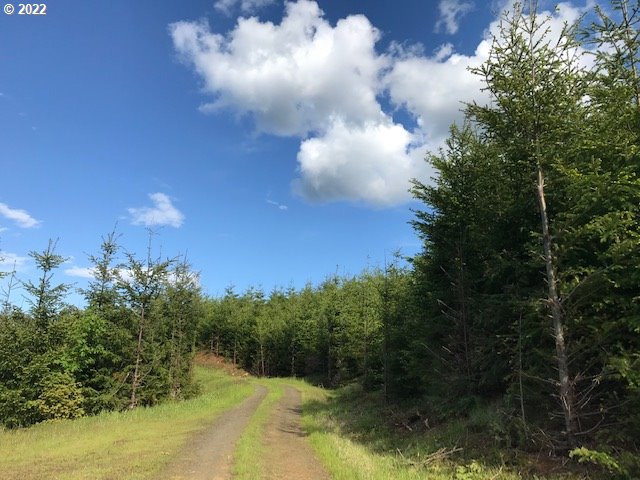 0 Old Military Road Dallas, OR 97338 - Photo 3 of 12