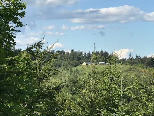 0 Old Military Road Dallas, OR 97338 - Photo 4 of 12