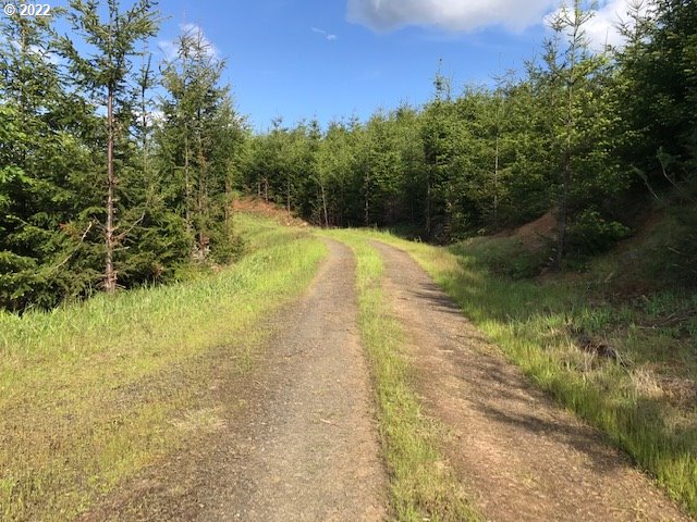 0 Old Military Road Dallas, OR 97338 - Photo 5 of 12