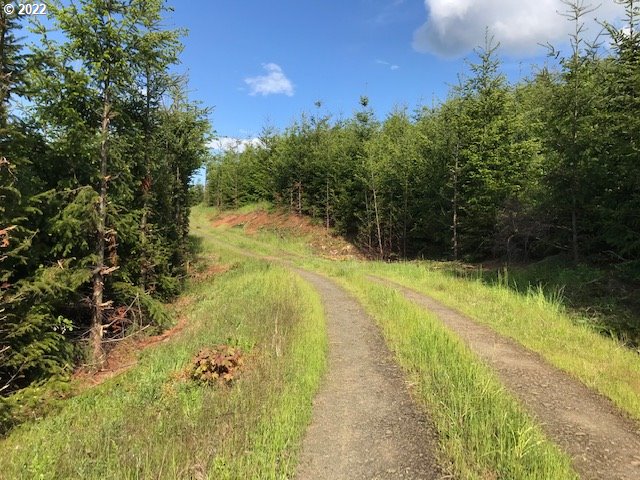 0 Old Military Road Dallas, OR 97338 - Photo 6 of 12