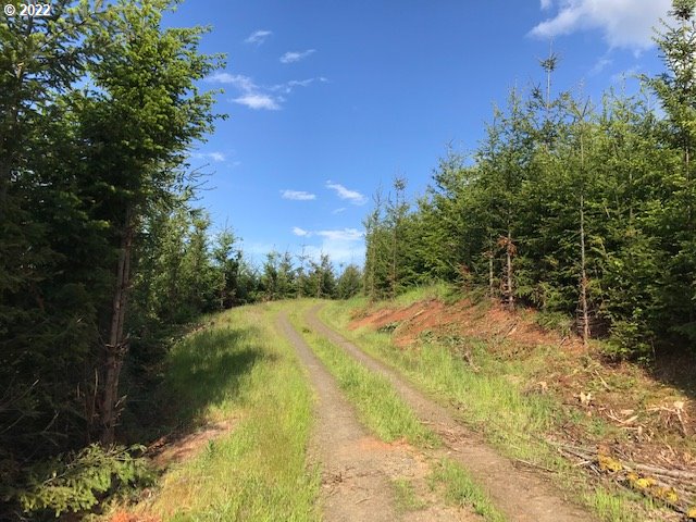 0 Old Military Road Dallas, OR 97338 - Photo 7 of 12